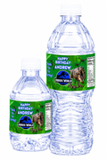 Custom Birthday Water Bottle Stickers Labels Set of 50 - Boy