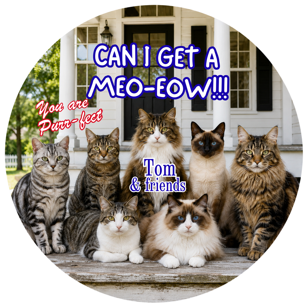 Pet Photo Buttons Cat Clowder