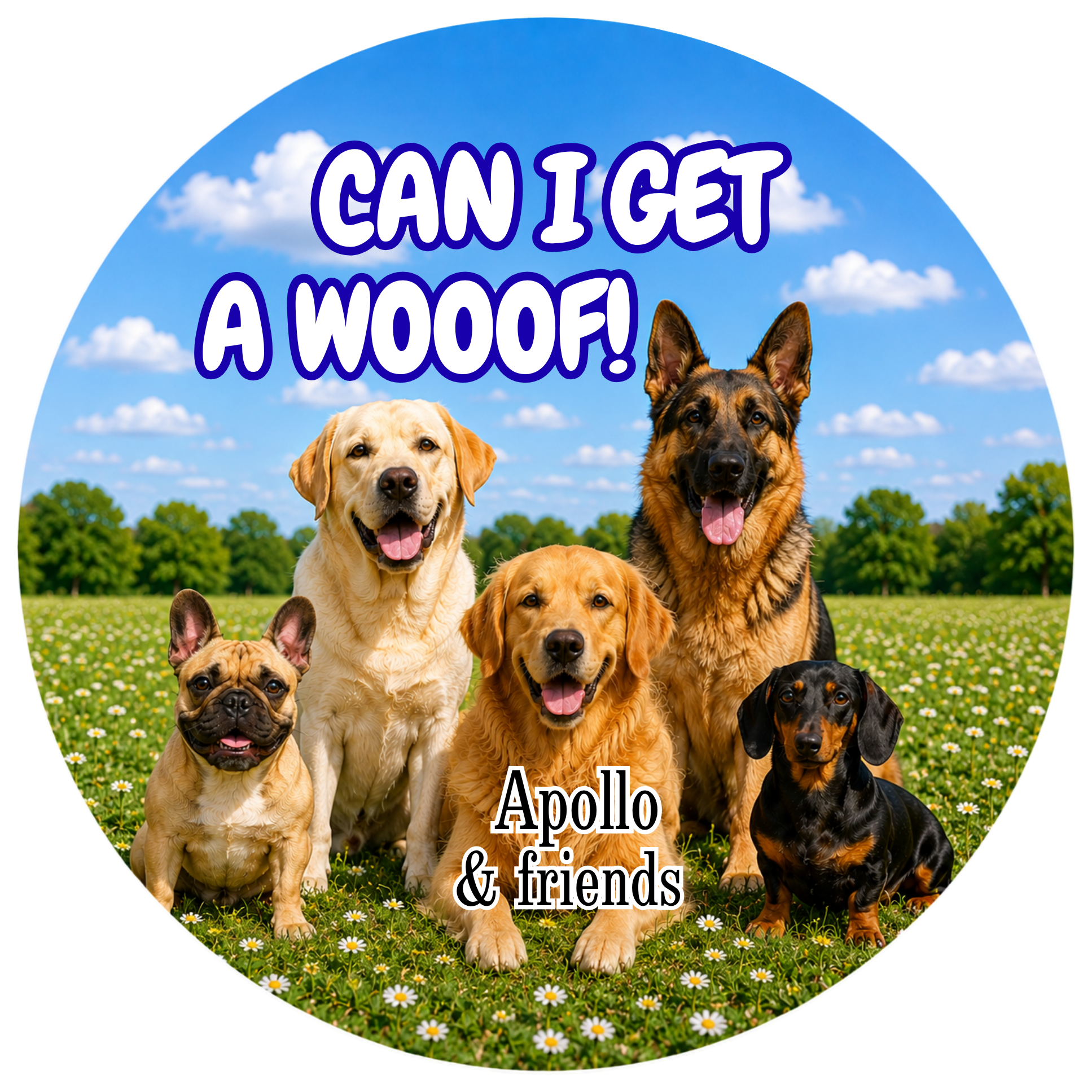Pet Photo Buttons Dog Pack