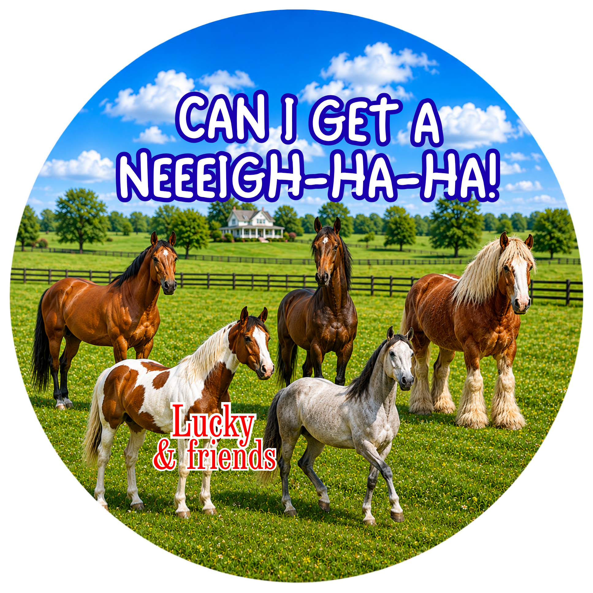 Pet Photo Buttons Horse Herd